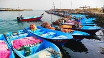 سوغات جنوب، یک دل دریایی است