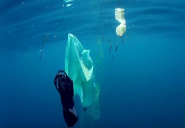MOL partners with JAMSTEC on marine plastic survey