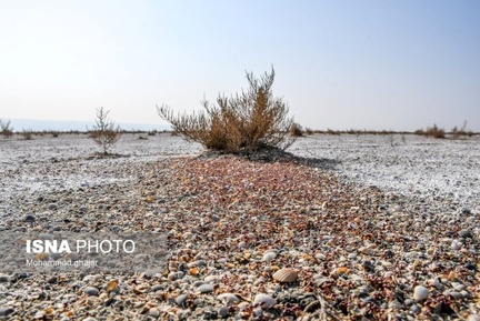 میانکاله 