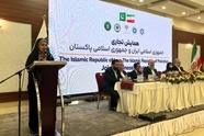 خطوط مستقیم کشتیرانی میان بنادر ایران و پاکستان راه‌ اندازی می‌ شود 