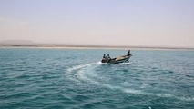 The human and economic cost of piracy in 2016