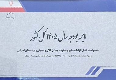 بودجه سال 1405 کل کشور از نظر منابع و مصارف چگونه است؟/ میزان درآمد اختصاصی وزارتخانه ها و موسسات دولتی در لایحه بودجه