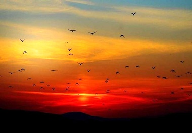 چرا گاهی آسمان قرمز می‌شود؟ 