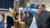  سخنگوی دولت: دانش‌ بنیان‌ ها موتور محرک اقتصاد دریامحور می‌ شوند