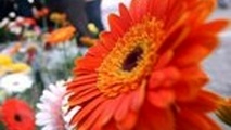 گردشگری ایران به روایت رسانه های بین المللی / ایرانی ها به شما لبخند می زنند