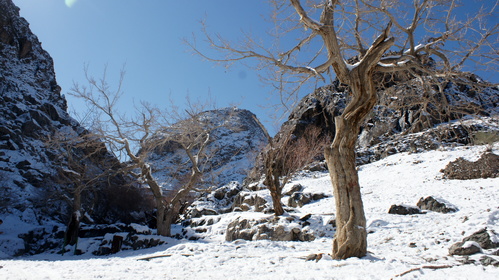 n00120774-r-b-011