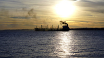 Price of Bunker Fuel Surges Ahead of IMO 2020