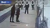 ببینید | خسارتی که یک توریست به چین زد!