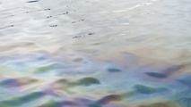 Port of Rotterdam cleaned most of the spilled oil
