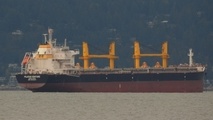 Grounded ship causes delays in Argentina’s Parana river
