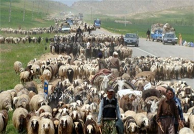 آغاز عملیات ایمن سازی جاده های عبور عشایر 