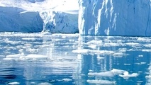 Plastic pollution in Antarctic is worse than expected