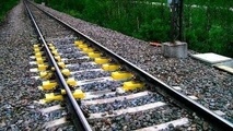Train services unaffected as seven-month vegetation clearance project begins on Borders Railway