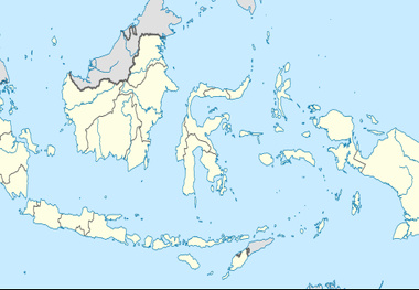 Japan, Indonesia consider ship LNG power generation to islands