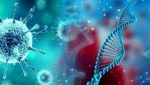 پیوند ژنتیکی بین شکل صورت و مغز کشف شده است
