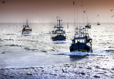 EU proposes measure to protect deep-sea species in North-East Atlantic