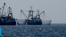 ST Engineering Hires Kongsberg to Equip New W2W Vessel