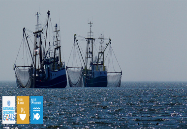 IMO promotes fishing vessel safety agreement to save lives 