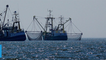 Six Illegal Foreign Fishers in Australian Waters Plead Guilty