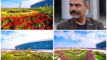 کاشت 20 هزار اصله درخت در محوطه فضای سبز ترمینال سلام