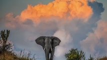 UGANDA PLANS TO BECOME CHAMPION OF TOURISM IN AFRICA