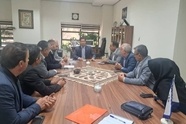 طرح سه‌ ساله پلور سبز برای بازگرداندن رونق به صنعت زرند کلید خورد