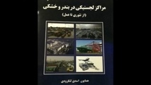 کتاب «مراکز لجستیکی در بندر و خشکی» منتشر شد