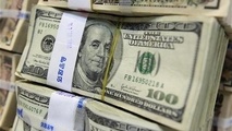 کشف بیش از 50 هزار دلار قاچاق در فرودگاه