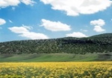 به‌زودی در فرودگاه کرمانشاه ویزای ۱۵ روزه صادر می‌شود