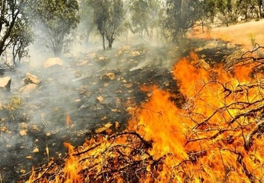 آغاز عملیات هوایی مهار آتش سوزی جنگل های چالوس با هواپیمای ایلوشن