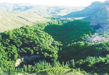 اسطرخی بهشت گمشده شیروان