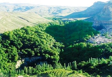 اسطرخی بهشت گمشده شیروان