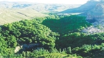 اسطرخی بهشت گمشده شیروان