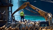 Six Workers Hospitalized after Incident at Napier Port
