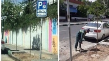 شهرداری در محل کشف پیکر بابک خرمدین «نهال حیات» کاشت