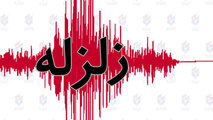 فیلم | تصویری عجیب از ضربان زمین در ترکیه