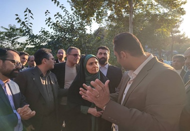 خانم وزیر  100 روز در محاصره نمایندگان پرتوقع مجلس!

