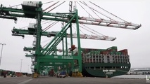  EU Soft Wheat Exports for 2025/26 Down 5%
