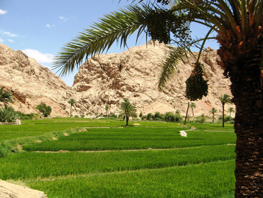 ازمیغان