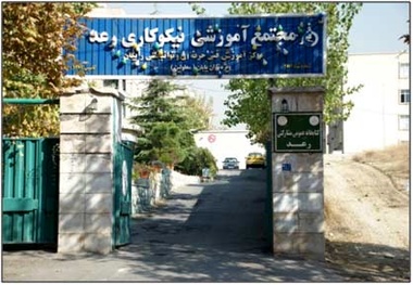 سازمانی از جنس عشق