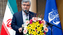 تاکنون هیچ‌گونه بیماری از بنادر وارد کشور نشده است