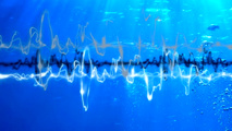 European countries must take action to reduce underwater noise, report says