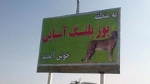 نقش یوزآسیایی برتابلوهای هشدار جاده‌ای / تلاش‌ برای داوم حیات‌وحش