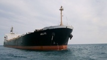 Diana Shipping’s bulk vessel grounds off Indonesia