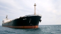 Diana Shipping’s bulk vessel grounds off Indonesia
