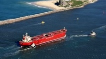 Mexico antitrust agency fines shipping companies over transport collusion