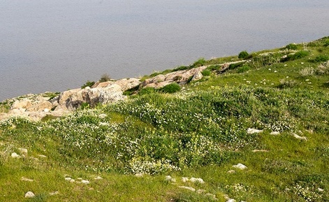 دریاچه اروميه