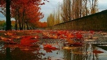 تداوم بارش پراکنده باران در برخی استان‌ ها تا آخر هفته 
