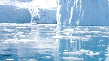 IMO states urged to support action on HFO risks in Arctic