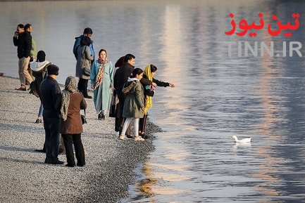 تهران؛ میزبان «پرندگان سیبری»